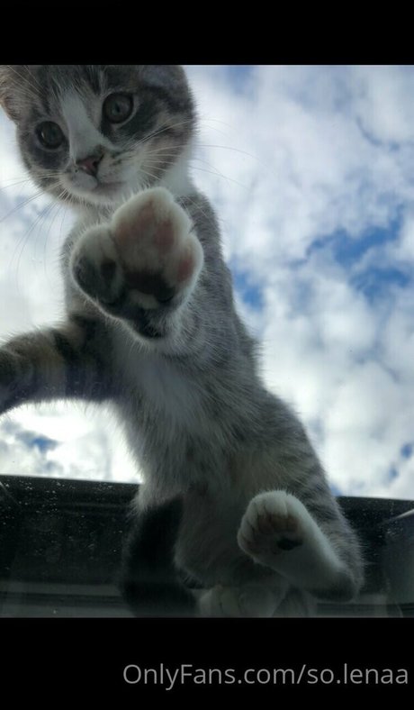 so lenaa pornostar hübsche fotos