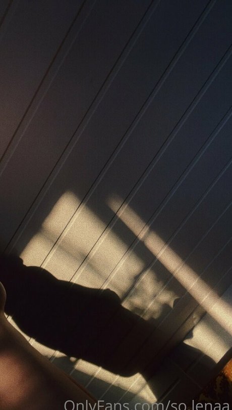 so lenaa kunst sex archiv