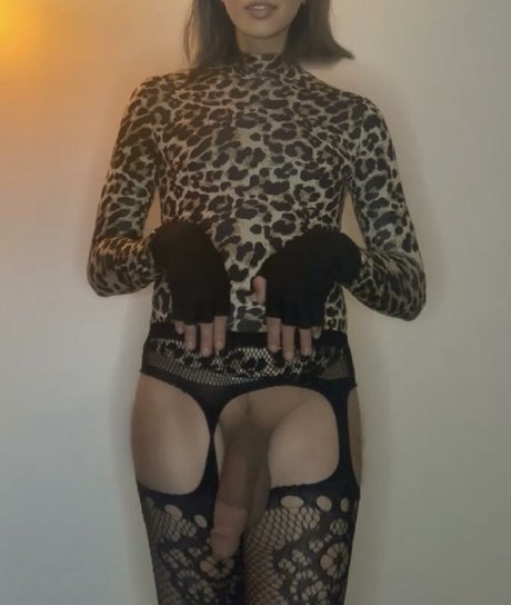 Ashley Tripp perfekte archiv