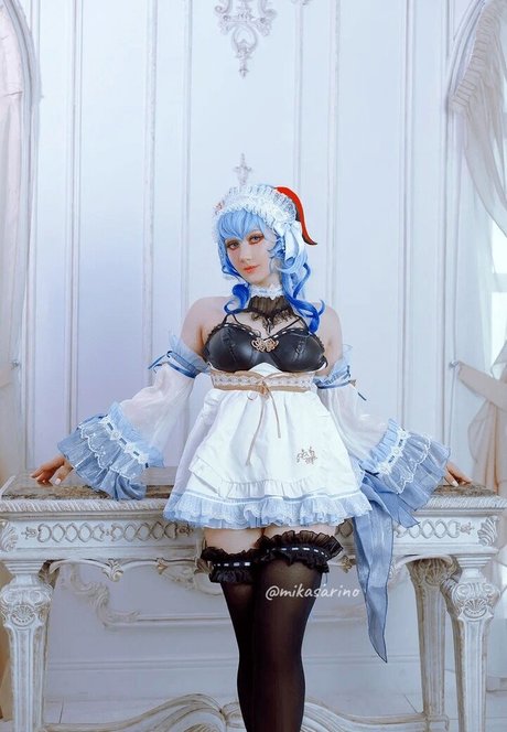 visagefox Profilbild