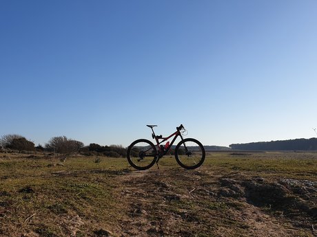 ntonio78 perfekte kunst fotos