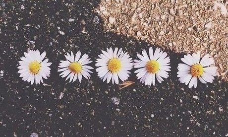 Arisaly Ortiz freie exklusive galerien