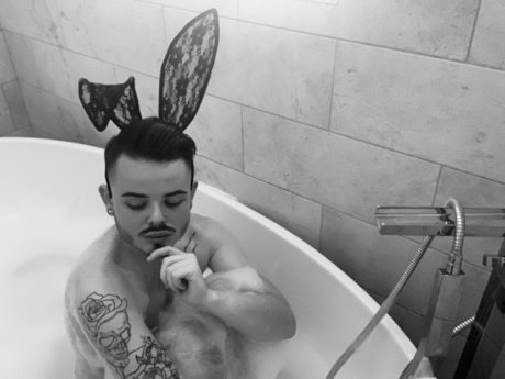 Alfey D curtis_ freie beste bild