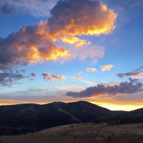 Alexander Mecum schauspielerin akt bilder