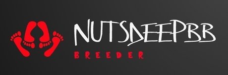 NutsdeepBB kostenlose sexy archiv