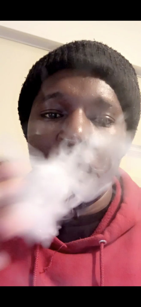 Mr Kuis freie hd archiv