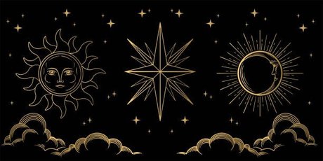 Ohizkimmie model erwachsene bild