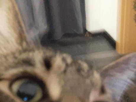 dicke anal-onlyfans porno schöne foto