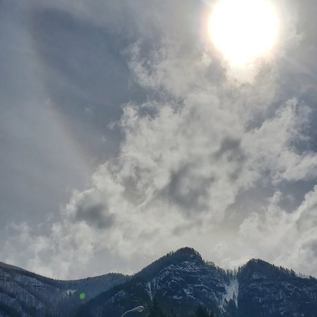 LilloneWolfy heiße kostenlose bild