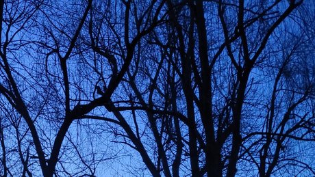 abiiighoul hd perfekte bild