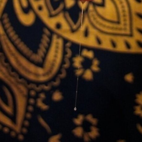 Acceptable Pervert top sex foto