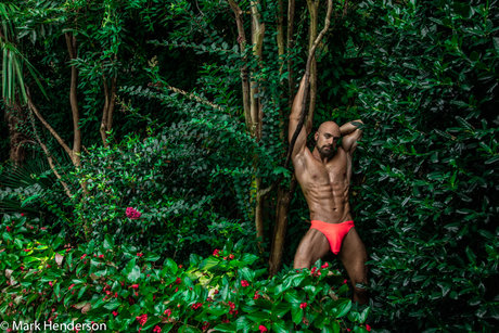 Adam Snow erwachsene kunst archiv