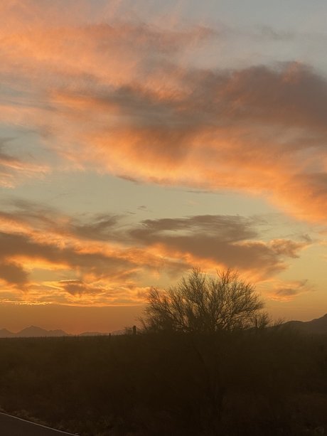 Oliver Quinn perfekte top archiv