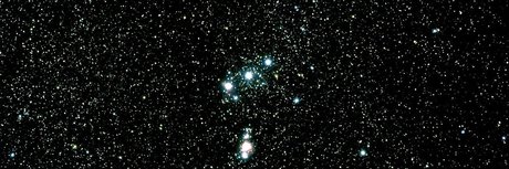 Nex exklusive sex galerien