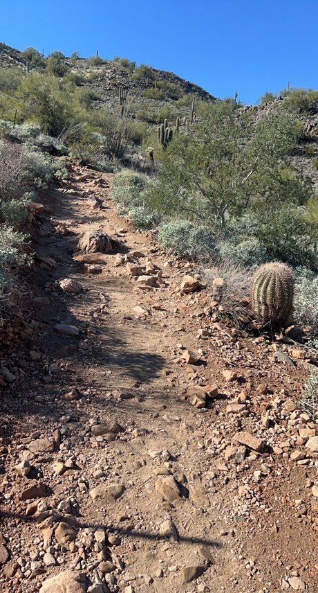 OnyxSton3 erwachsene schöne archiv