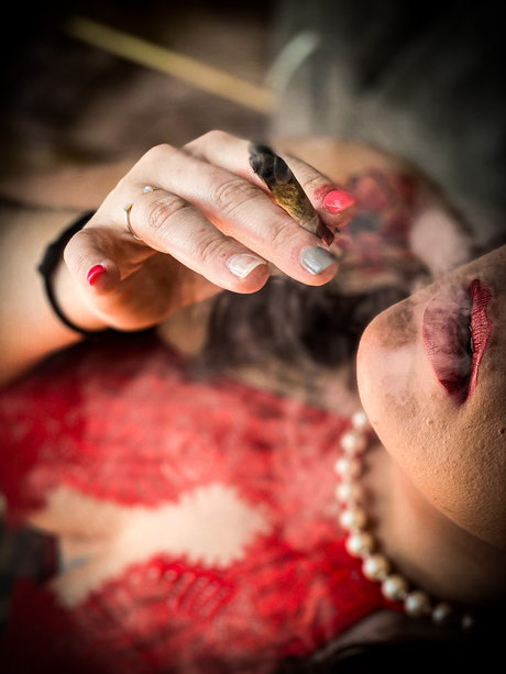 Kitten Savage Profilbild