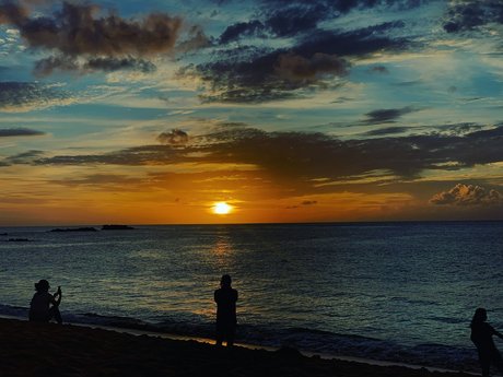 Pandaznation porno kostenlose galerie