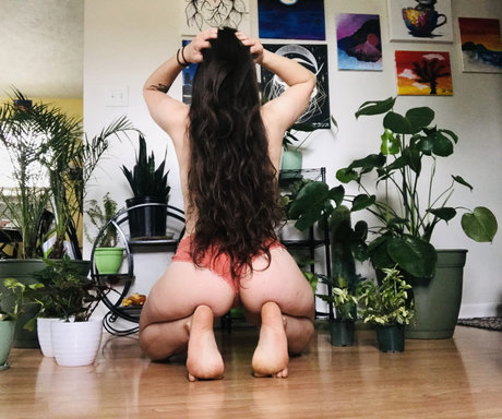 Peezy Pottz beste schöne galerien