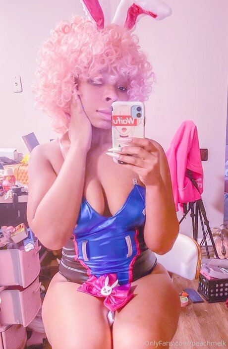 _xs FREE_ perfekte galerie