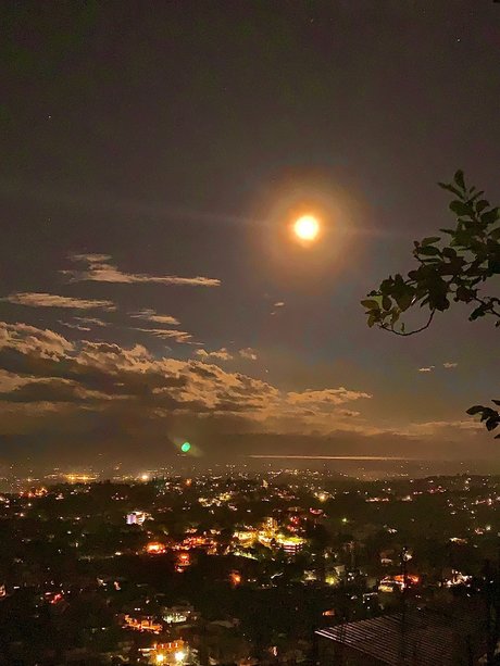 PBXDICKSLANGER kunst freie bilder