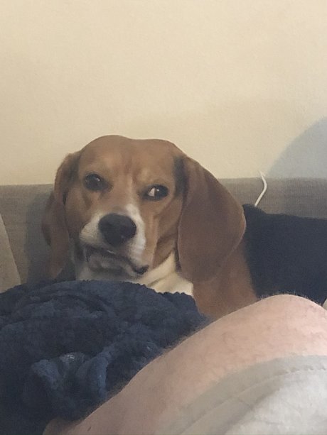 361 daddy hd exklusive galerie