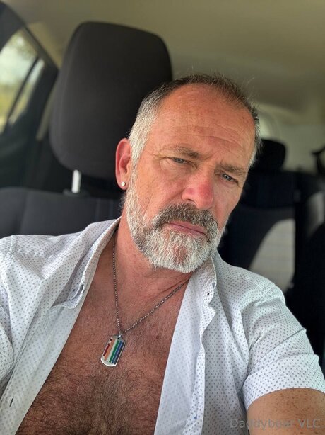 Daddy bear Profilbild