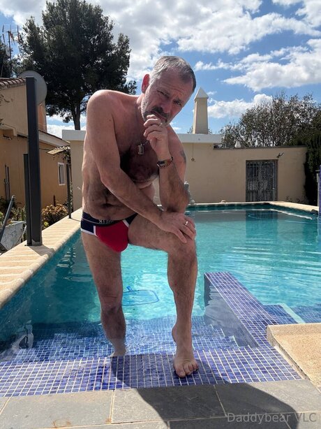 Daddy bear kostenlose kunst foto