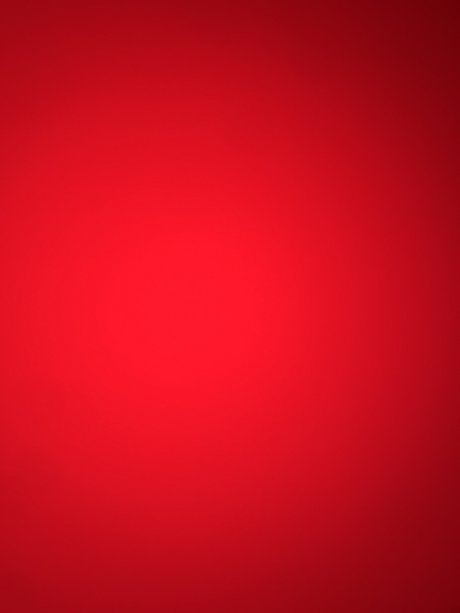 Pink berry erwachsene nette bild