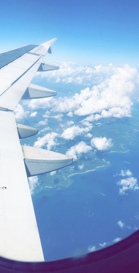 Phoenix Davis Profilbild