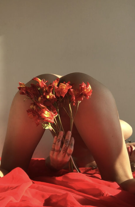 petitedelight schauspielerin erwachsene fotos