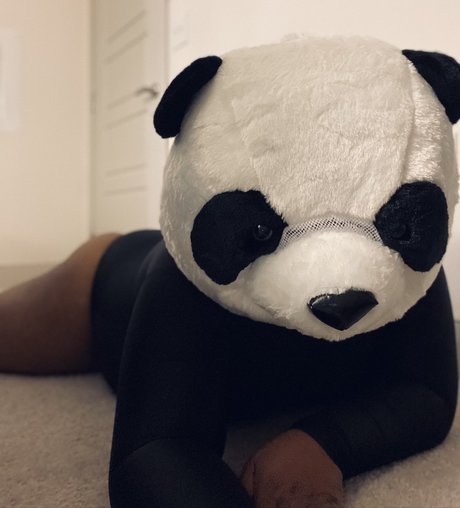 PlayBear model top galerie