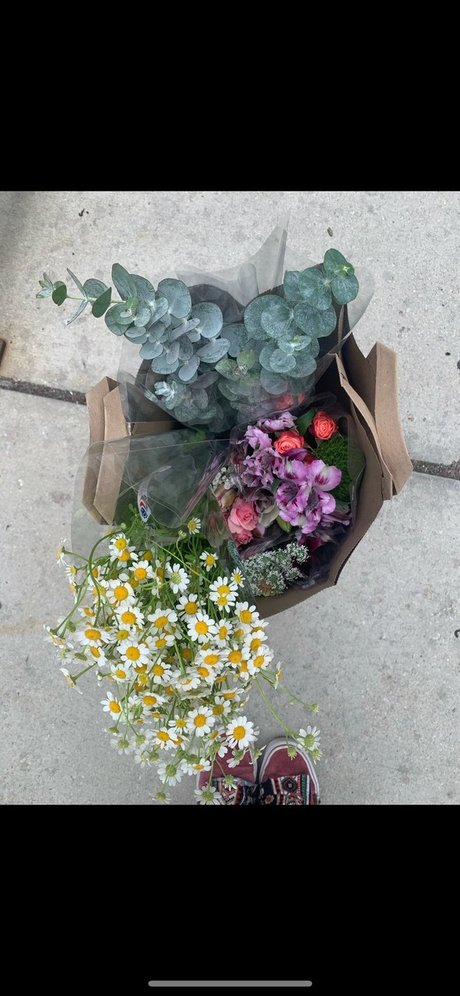 sweet pixii babe exklusive xxx galerie