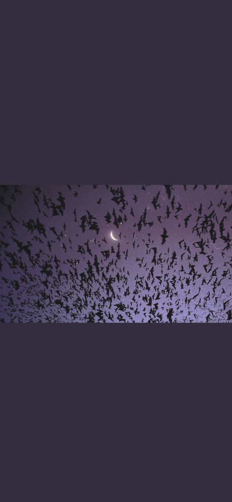 Lilith Faye perfekte kostenlose galerie