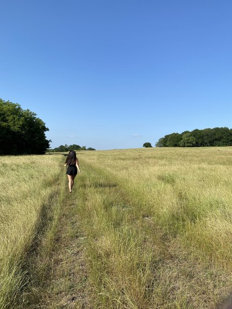 Dani Dang kostenlose porno bilder