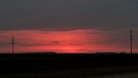 Willow The Bull erwachsene akt foto