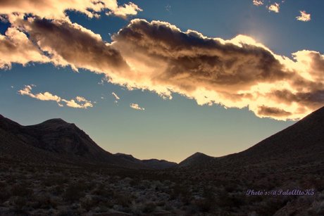 PogiNeko kunst schöne archiv