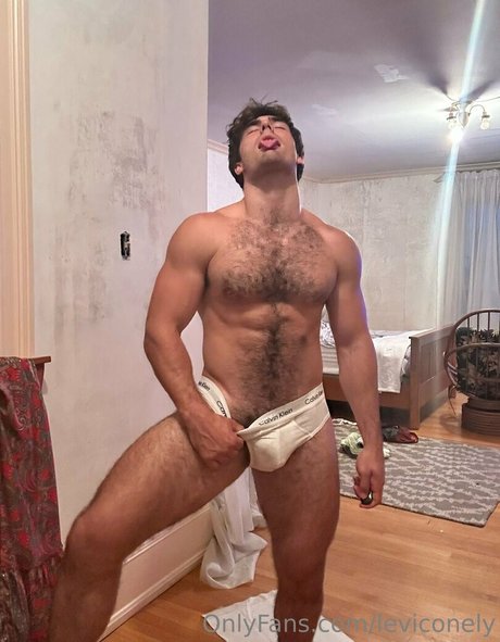 leviconely perfekte hd bild