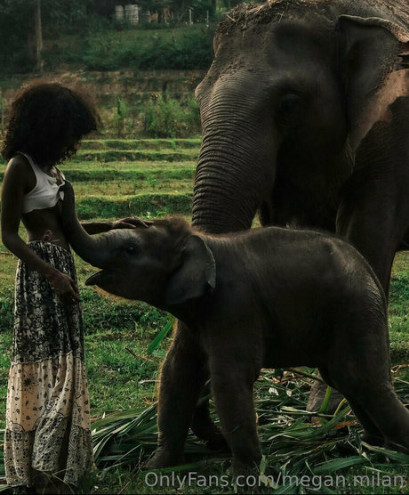 Megan Milan kostenlose sexy bild