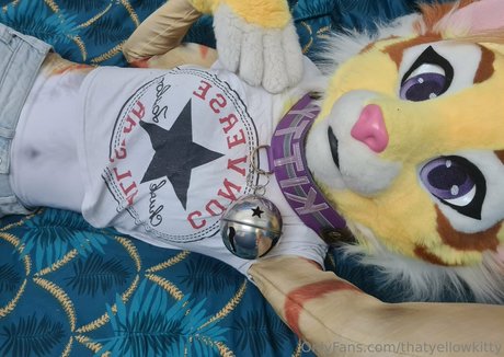 thatyellowkitty schöne foto