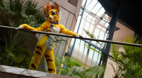 thatyellowkitty freie pornografische archiv