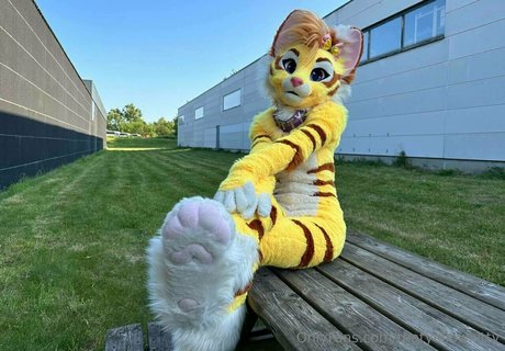 thatyellowkitty xxx freie bilder