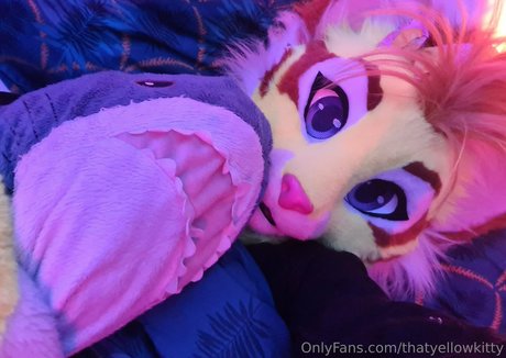 thatyellowkitty freie hd bilder