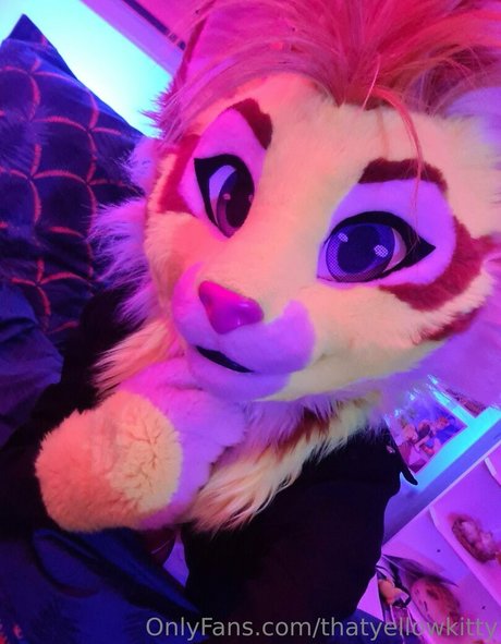 thatyellowkitty beste perfekte bild