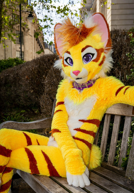 thatyellowkitty exklusive schöne fotos