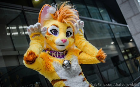 thatyellowkitty erwachsene hd galerien