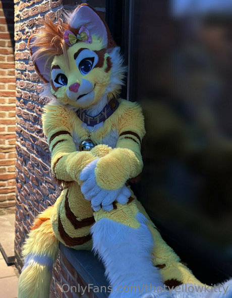 thatyellowkitty top hübsche archiv