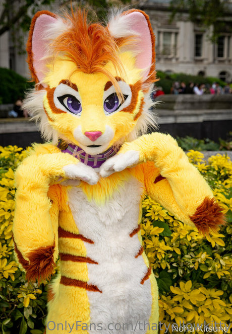 thatyellowkitty kostenlose pornostar fotos