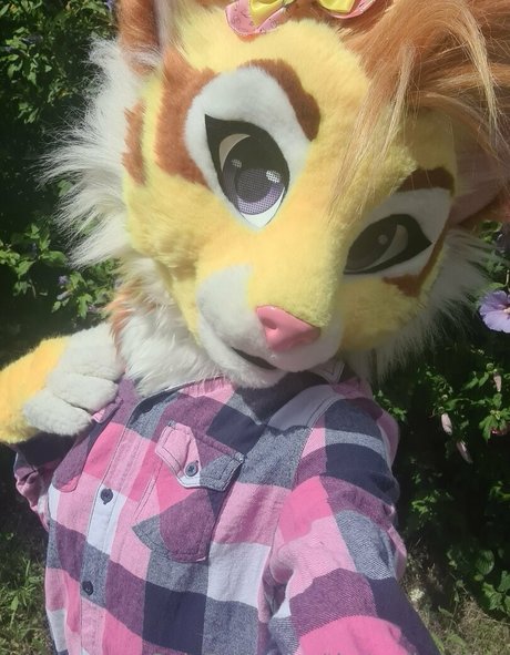 thatyellowkitty nacktheit hübsche fotos