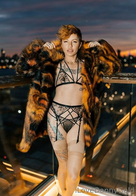 thedannygoldexperience xxx kunst archiv