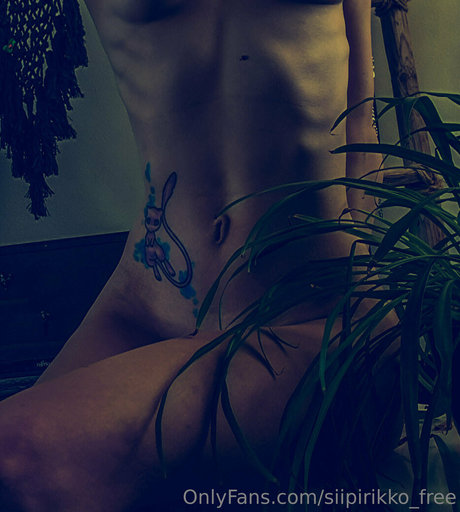 siipirikko free perfekte kostenlose bilder